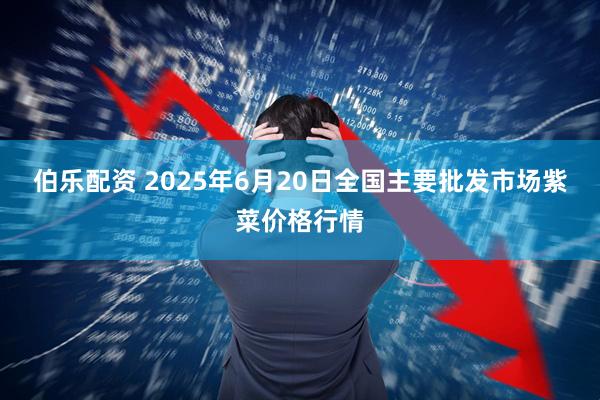 伯乐配资 2025年6月20日全国主要批发市场紫菜价格行情