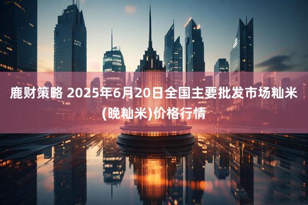 鹿财策略 2025年6月20日全国主要批发市场籼米(晚籼米)价格行情