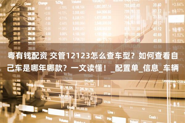 粤有钱配资 交管12123怎么查车型？如何查看自己车是哪年哪款？一文读懂！_配置单_信息_车辆