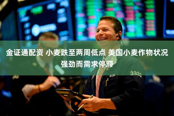 金证通配资 小麦跌至两周低点 美国小麦作物状况强劲而需求停滞