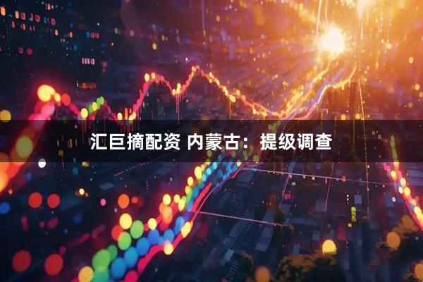 汇巨摘配资 内蒙古：提级调查