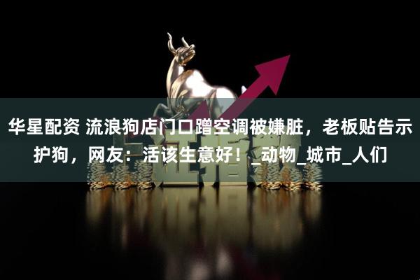 华星配资 流浪狗店门口蹭空调被嫌脏，老板贴告示护狗，网友：活该生意好！_动物_城市_人们