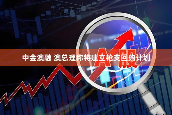 中金澳融 澳总理称将建立枪支回购计划